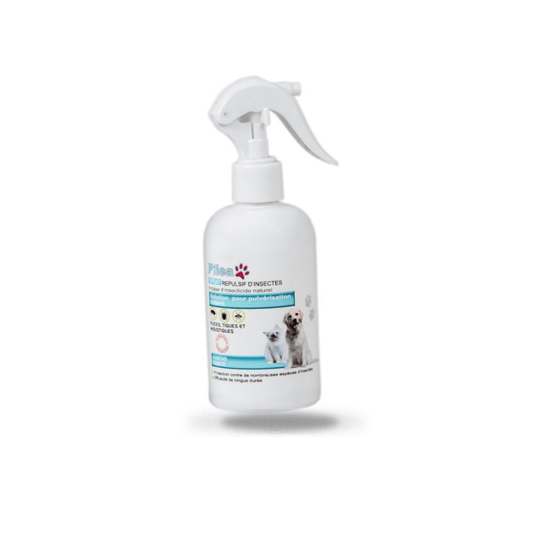 PILEA REPULSIVE D’INSECTS 250ML