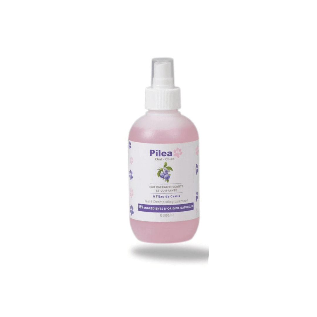 PILEA EAU COIFFANTE ET REFRAICHISSANTE 300ML