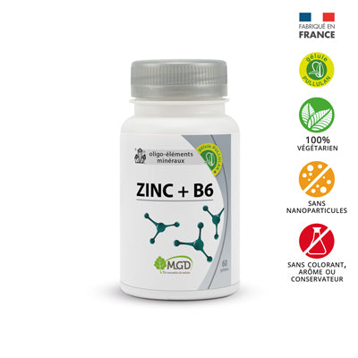 MGD ZINC+B6 60 GÉLULES
